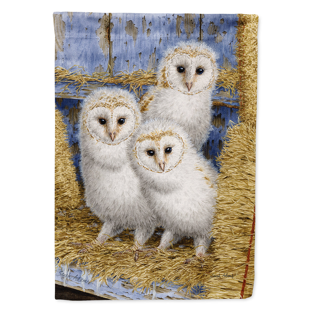 Barn Owl Chicks Flag Canvas House Size ASA2076CHF