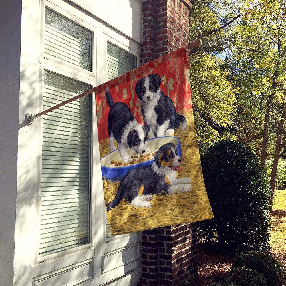 Border Collie Pups Flag Canvas House Size ASA2079CHF