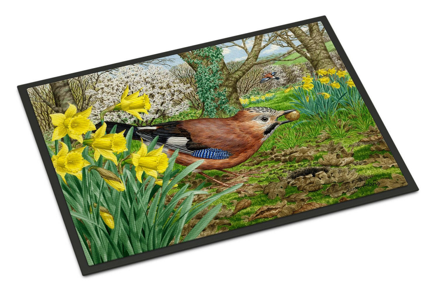 Caroline's Treasures Jay Doormat - 18x27 Decorative Floor Mat – Indoor/Outdoor Rug with Artistic Flair ASA2176MAT