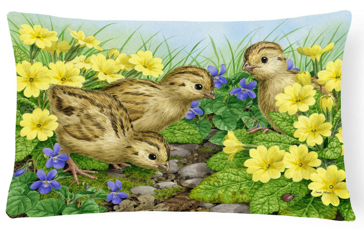 Pheasant Chicks Fabric Decorative Pillow ASA2177PW1216 by Caroline&#39;s Treasures