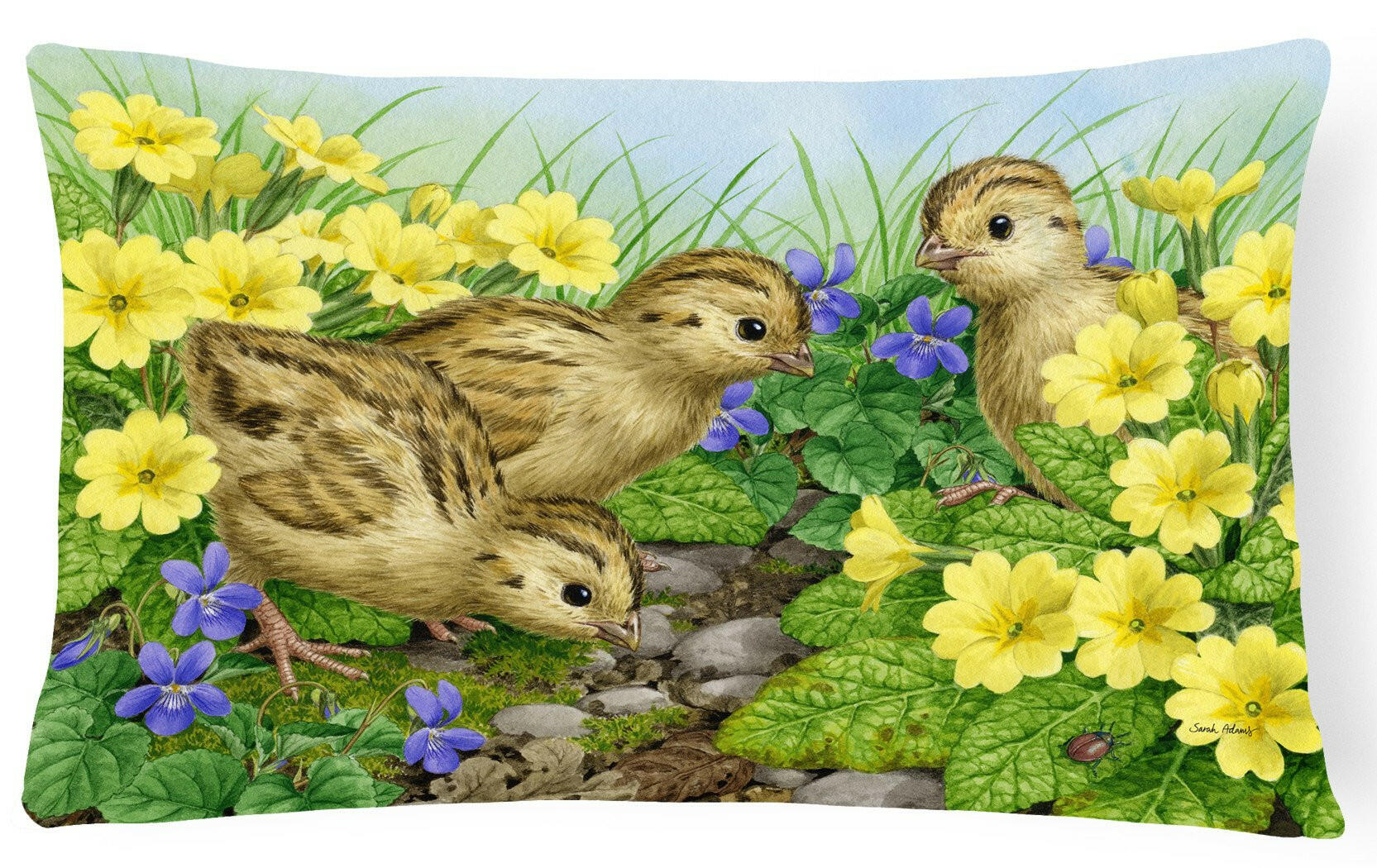 Pheasant Chicks Fabric Decorative Pillow ASA2177PW1216 by Caroline's Treasures