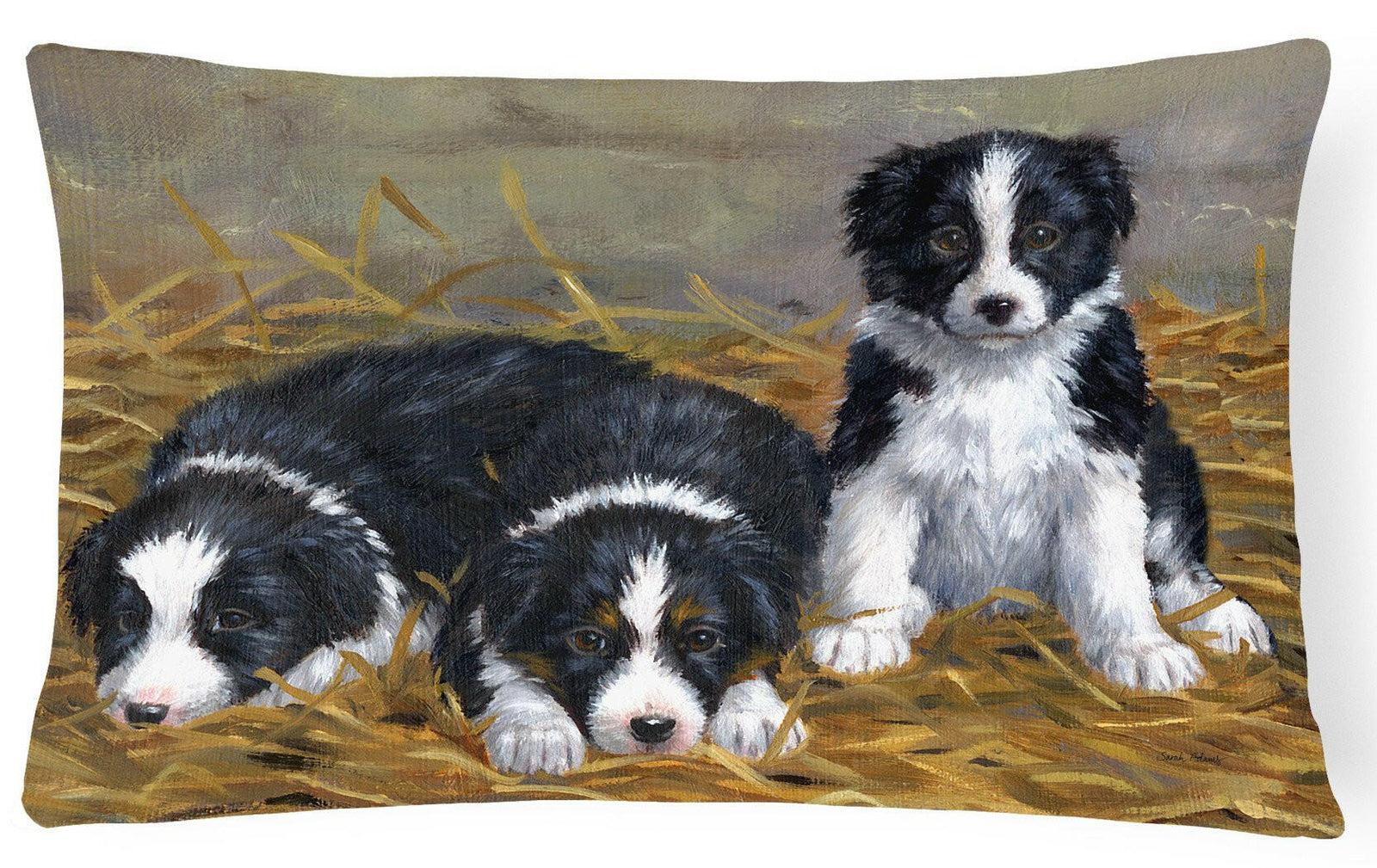Border Collie Puppies Fabric Decorative Pillow ASA2196PW1216 by Caroline's Treasures
