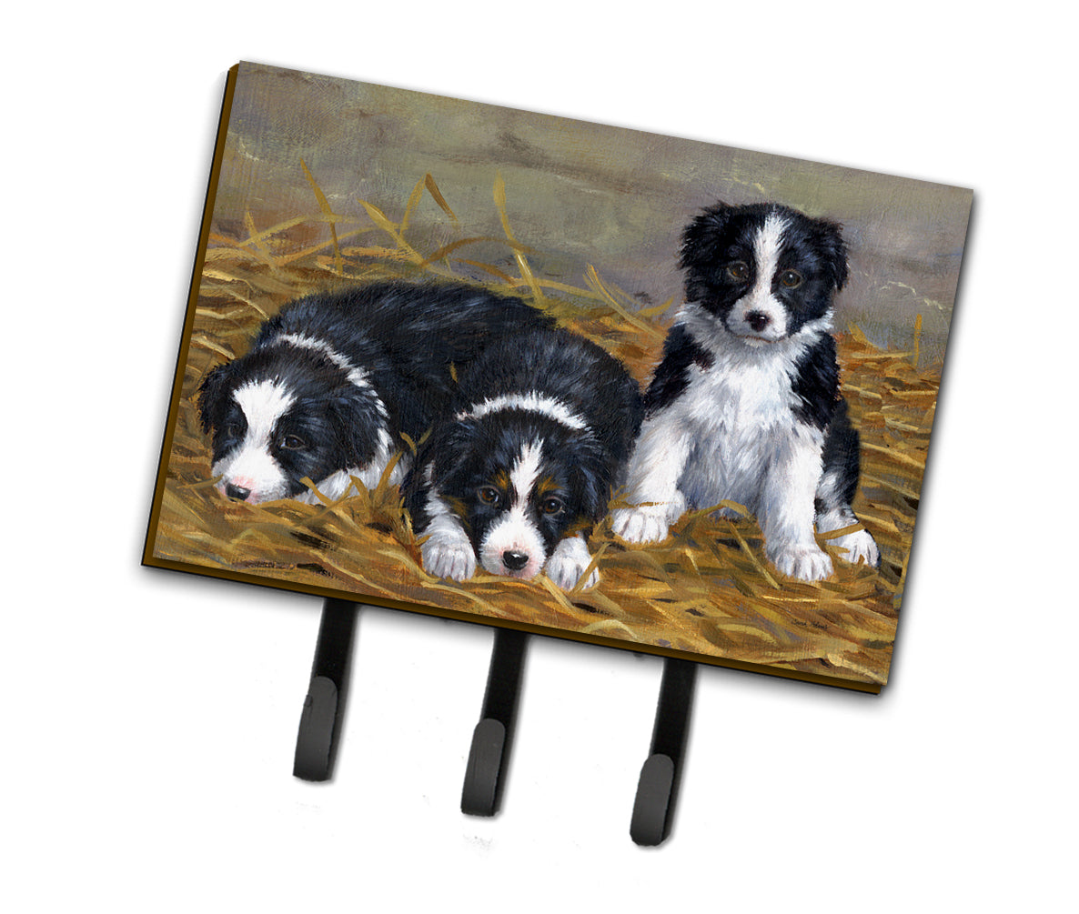 Border Collie Puppies Leash or Key Holder ASA2196TH68