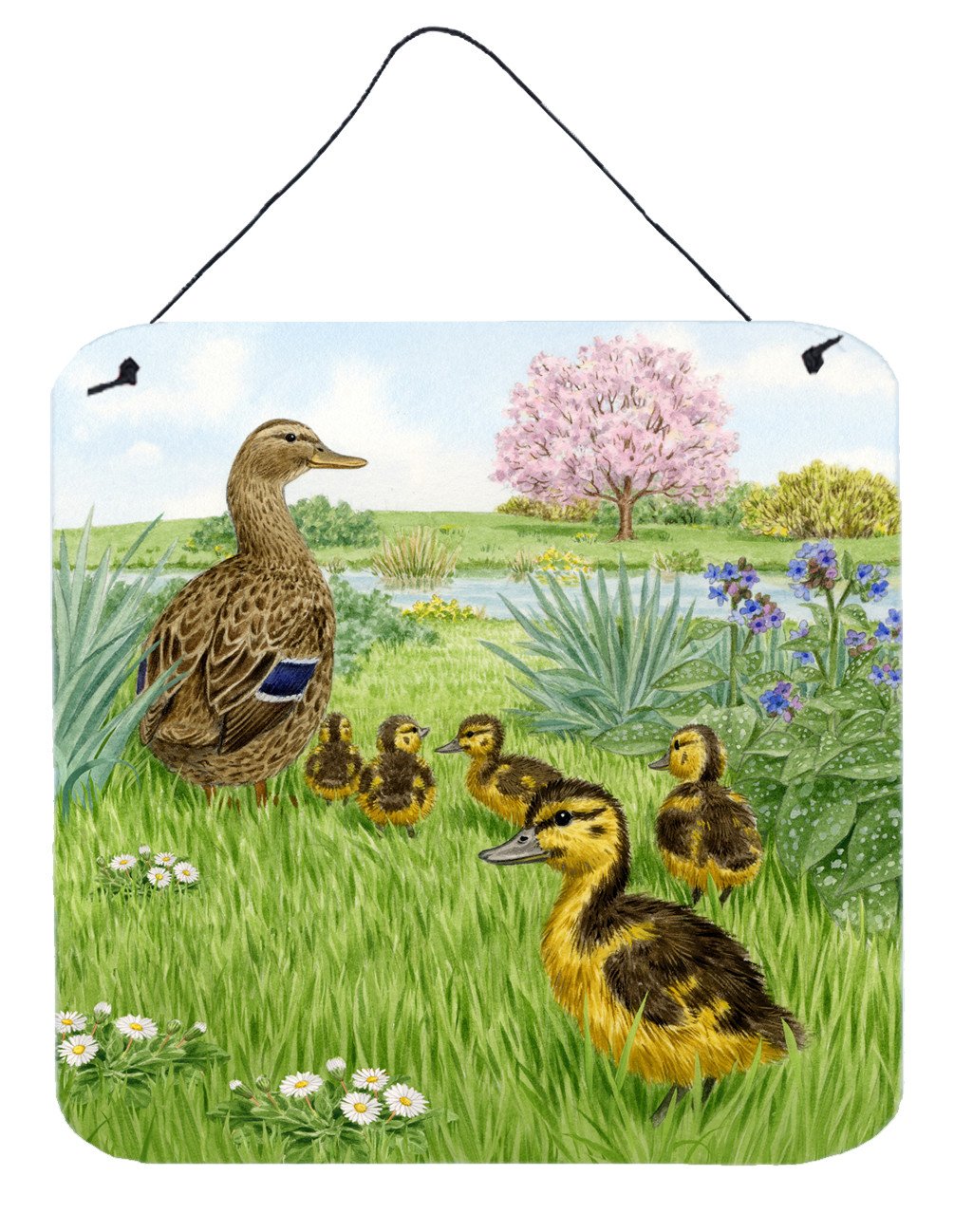Mallard and Ducklings by Sarah Adams Wall or Door Hanging Prints ASAD0693DS66 by Caroline&#39;s Treasures