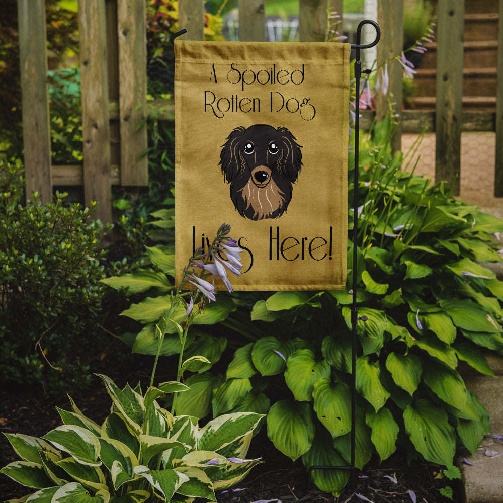Longhair Black and Tan Dachshund Spoiled Dog Lives Here Flag Garden Size BB1461GF.
