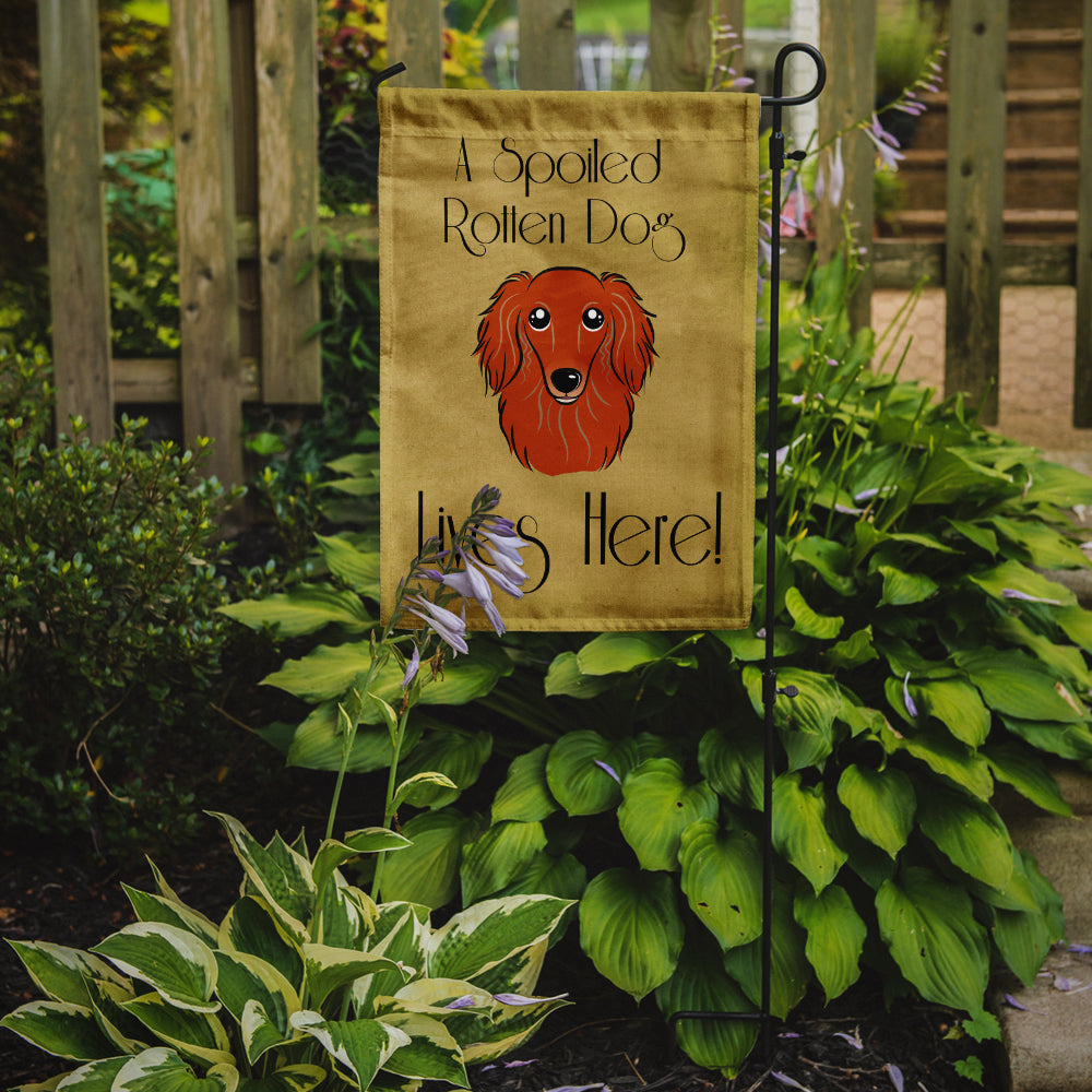 Longhair Red Dachshund Spoiled Dog Lives Here Flag Garden Size BB1462GF
