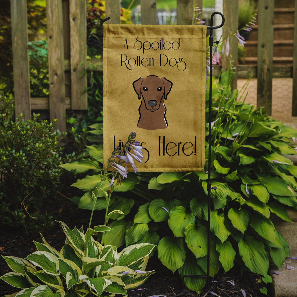 Chocolate Labrador Spoiled Dog Lives Here Flag Garden Size BB1482GF.