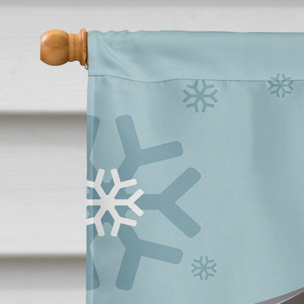 Winter Holiday Schnauzer Flag Canvas House Size BB1702CHF