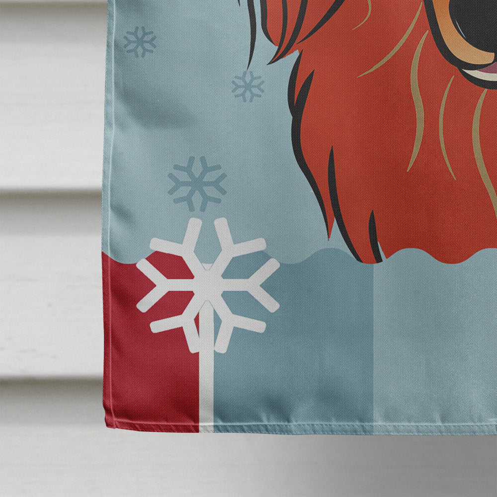 Winter Holiday Longhair Red Dachshund Flag Canvas House Size BB1710CHF