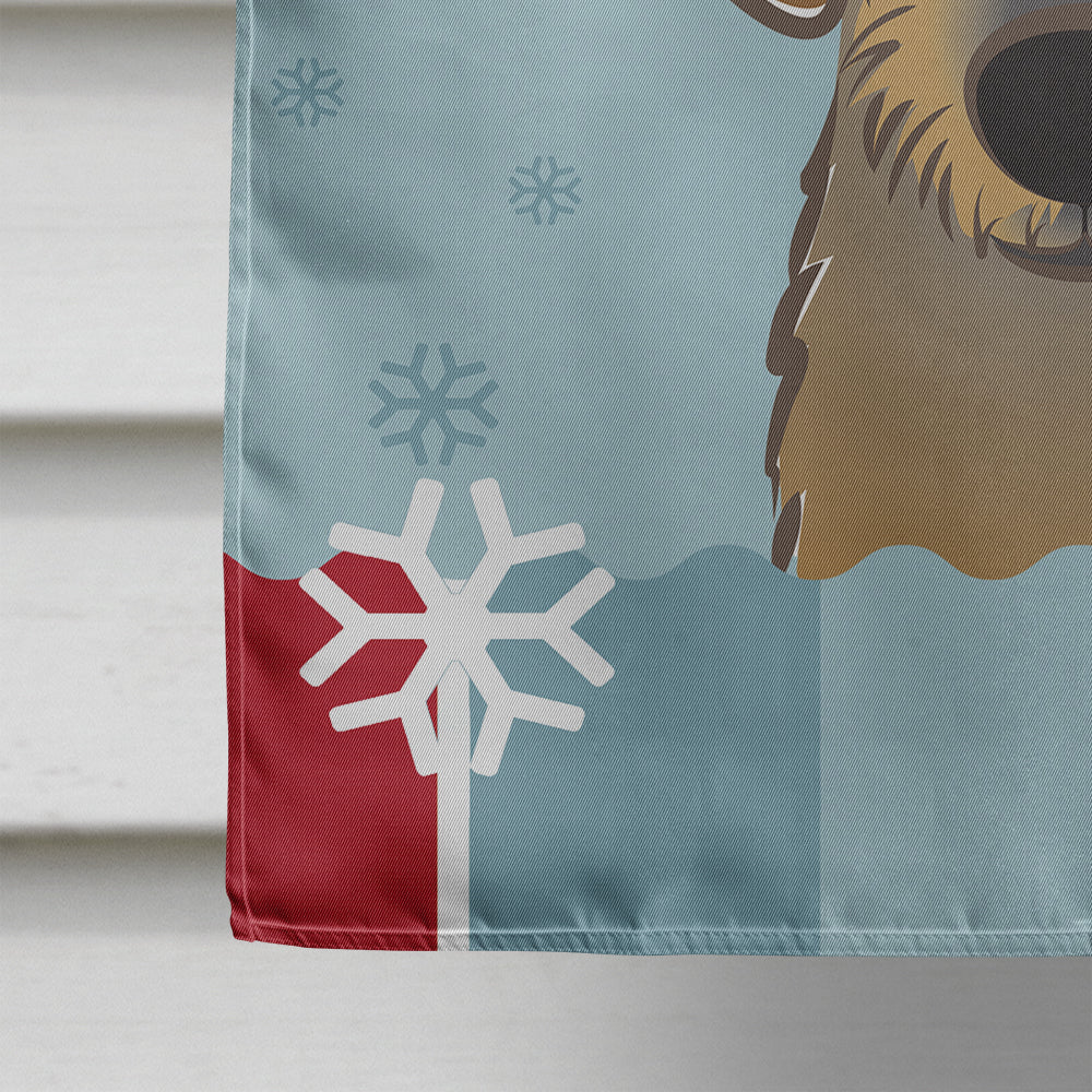 Winter Holiday Wirehaired Dachshund Flag Canvas House Size BB1729CHF  the-store.com.