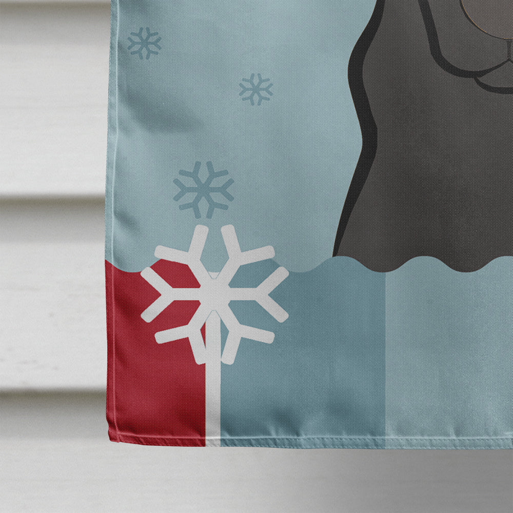 Winter Holiday Black Labrador Flag Canvas House Size BB1731CHF