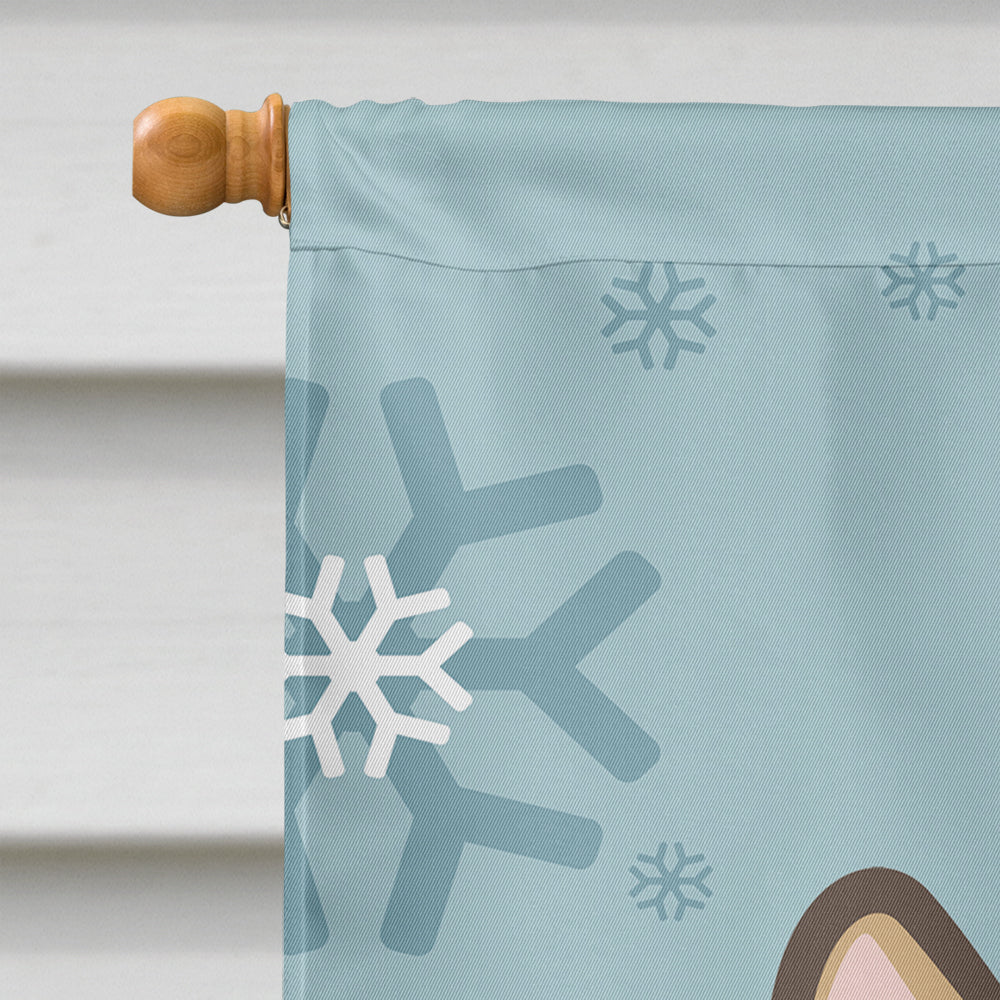 Winter Holiday Sable Corgi Flag Canvas House Size BB1749CHF