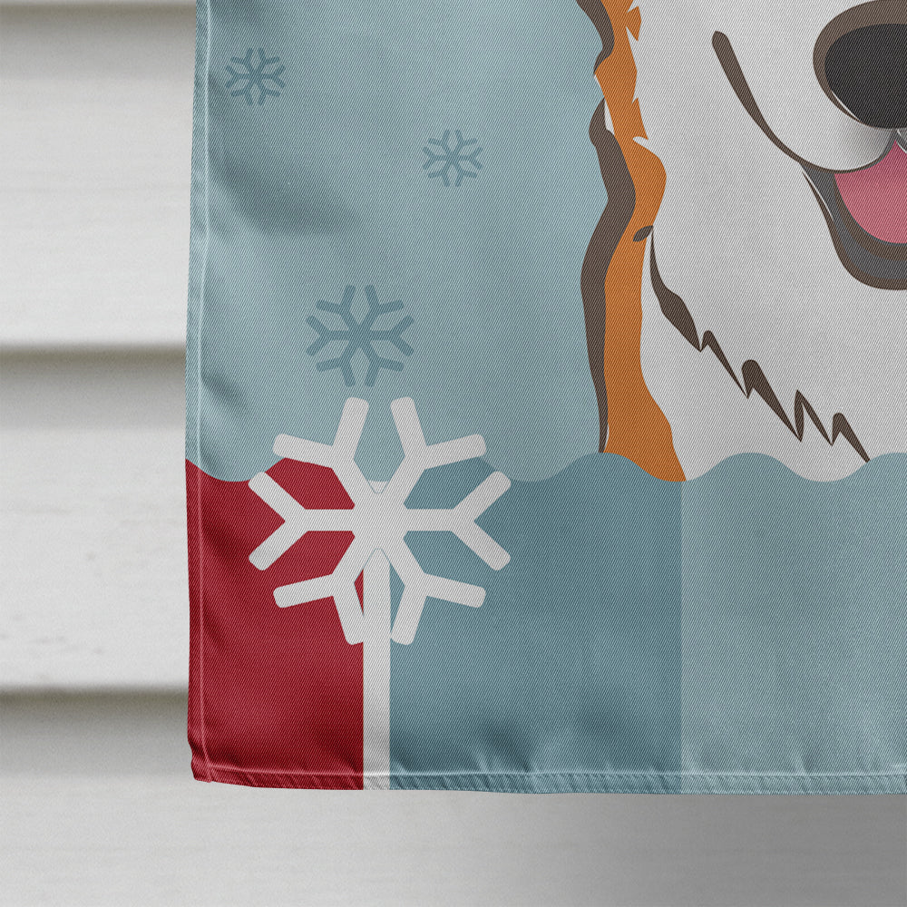 Winter Holiday Red Corgi Flag Canvas House Size BB1750CHF