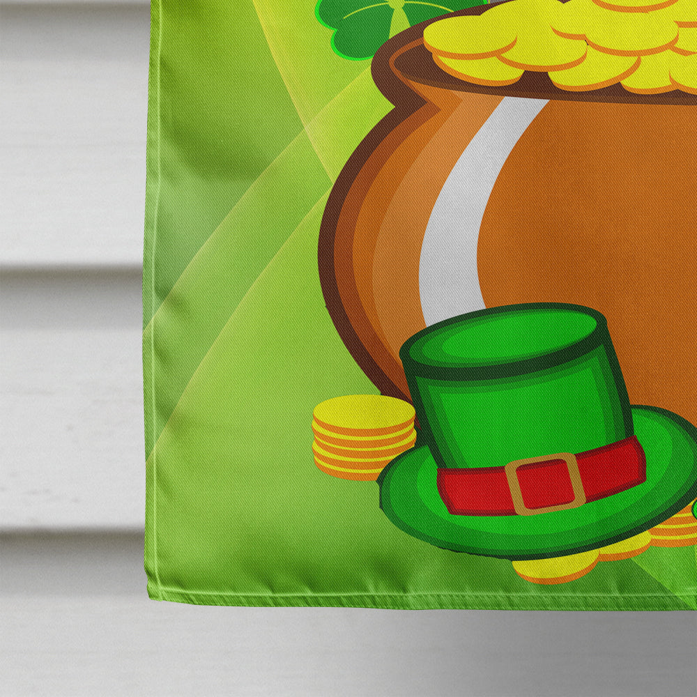 Schnauzer St. Patrick's Day Flag Canvas House Size BB1950CHF