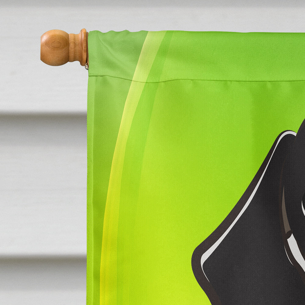 Smooth Black and Tan Dachshund St. Patrick's Day Flag Canvas House Size BB1959CHF  the-store.com.