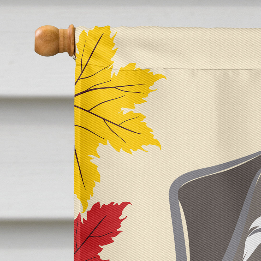 Schnauzer Thanksgiving Flag Canvas House Size BB2012CHF  the-store.com.
