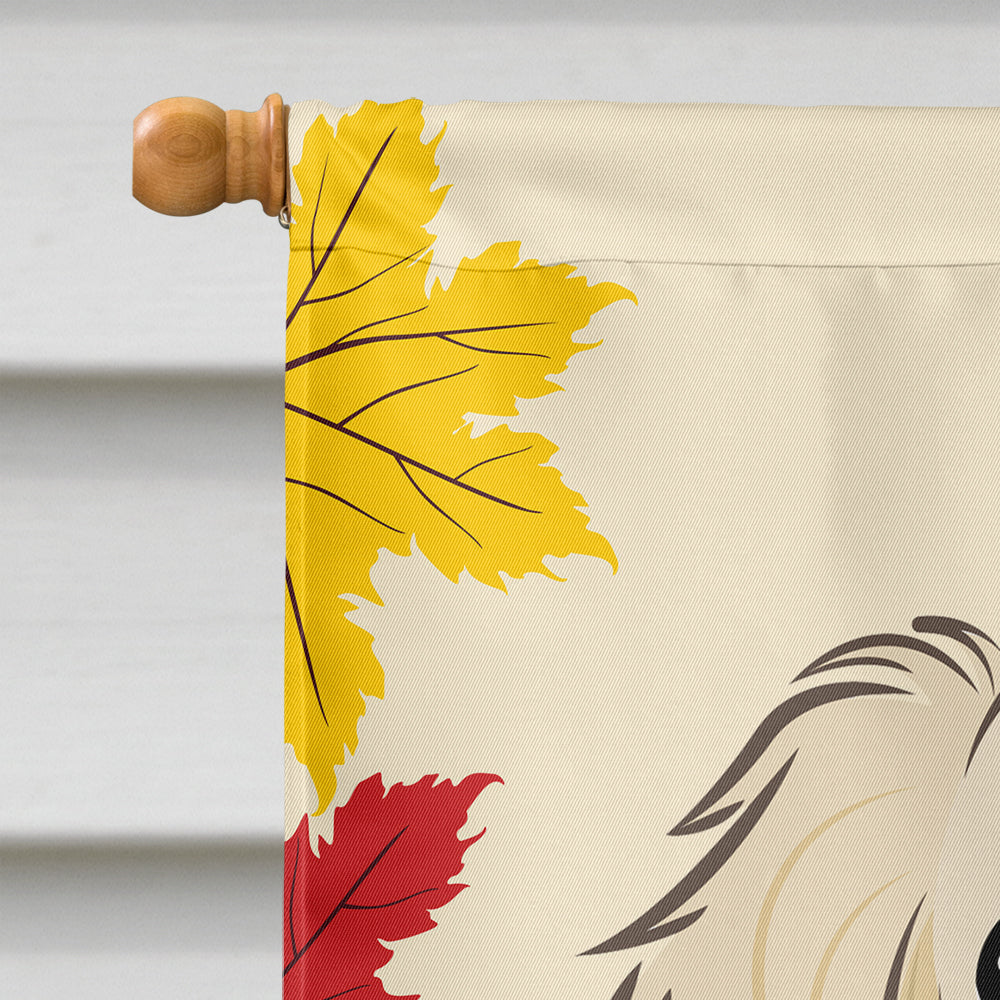 Longhair Creme Dachshund Thanksgiving Flag Canvas House Size BB2018CHF