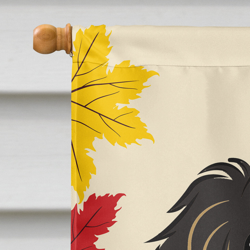 Longhair Black and Tan Dachshund Thanksgiving Flag Canvas House Size BB2019CHF