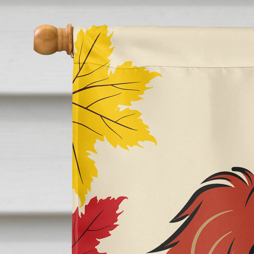Longhair Red Dachshund Thanksgiving Flag Canvas House Size BB2020CHF  the-store.com.
