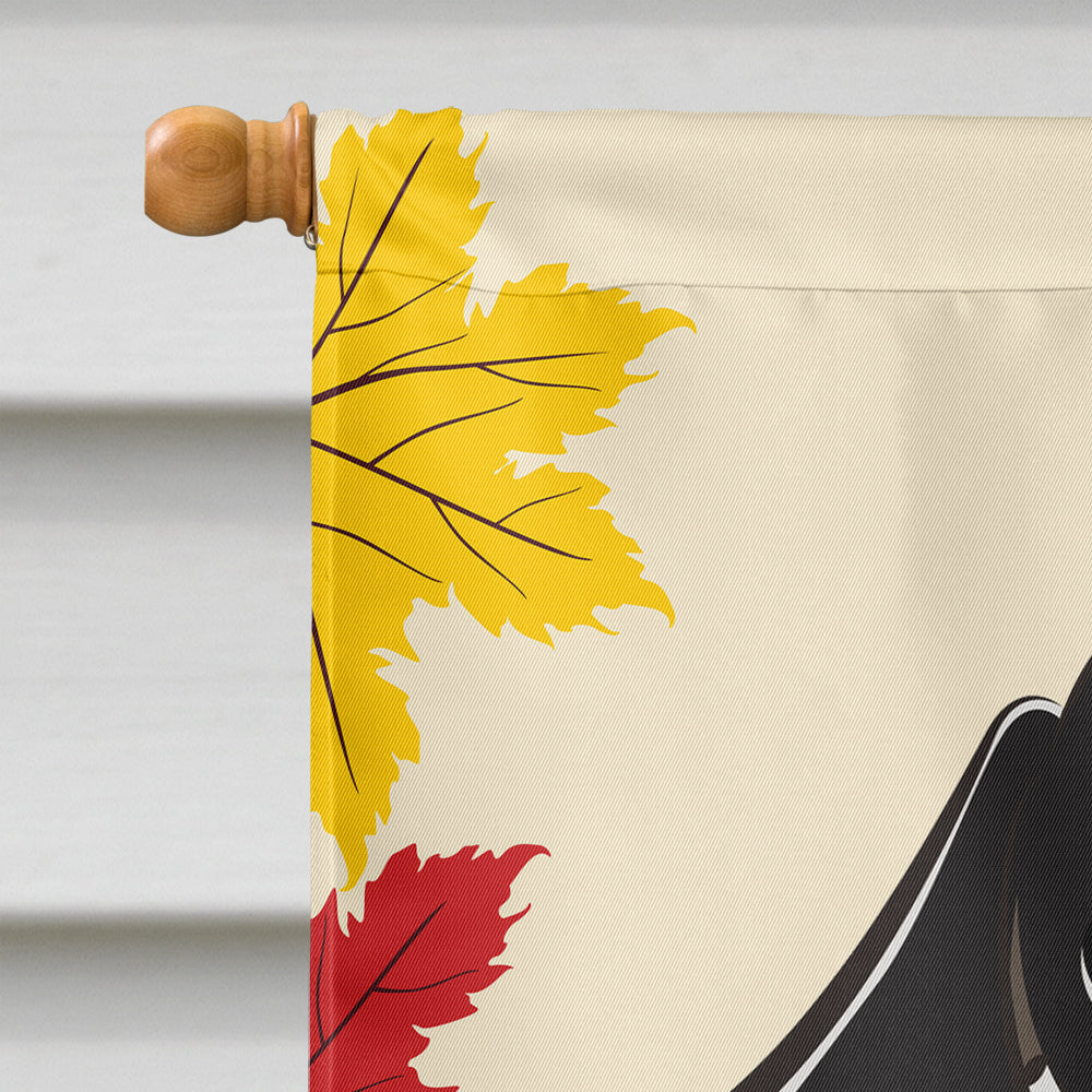 Smooth Black and Tan Dachshund Thanksgiving Flag Canvas House Size BB2021CHF