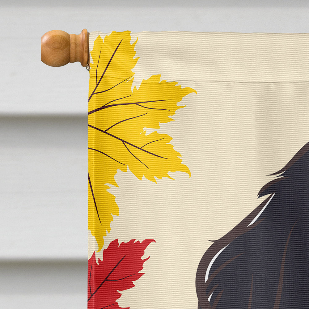 Bernese Mountain Dog Thanksgiving Flag Canvas House Size BB2043CHF  the-store.com.