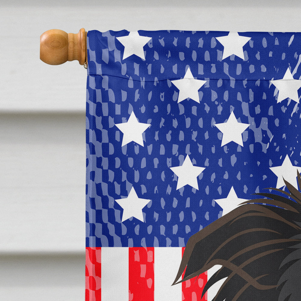 God Bless American Flag with Border Collie Flag Canvas House Size BB2171CHF