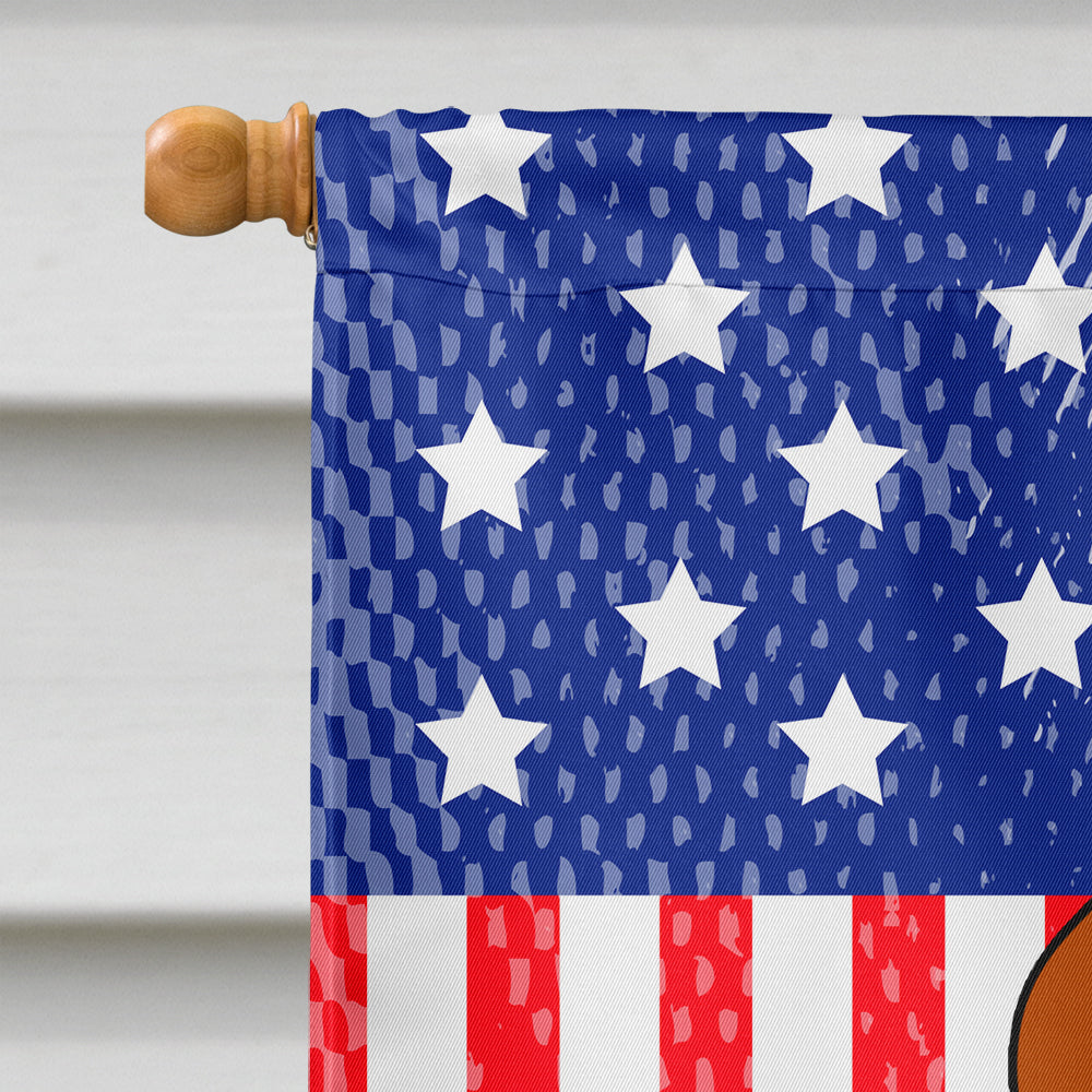 Patriotic USA English Foxhound Flag Canvas House Size BB3105CHF