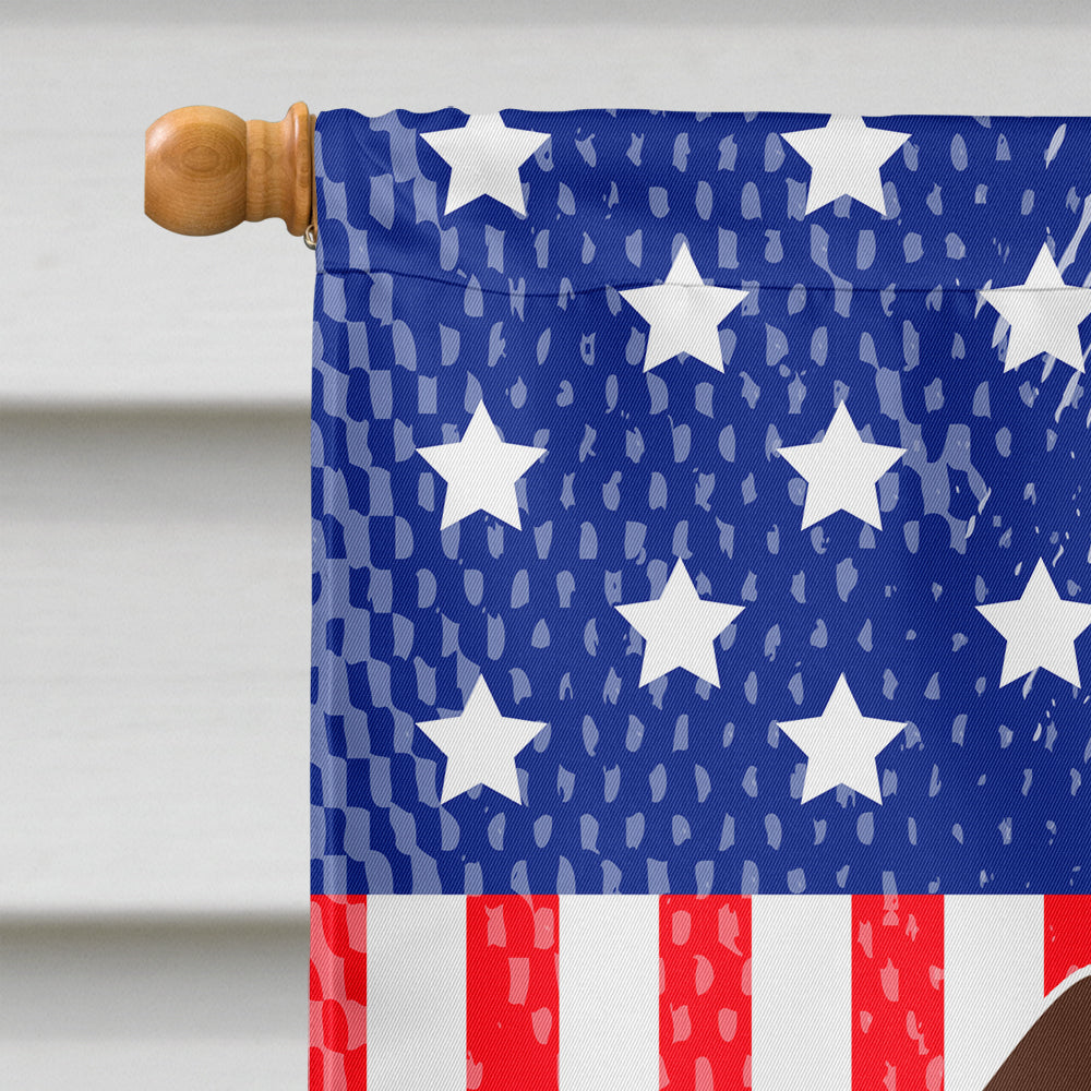Patriotic USA Wire Haired Dachshund Chocolate Flag Canvas House Size BB3124CHF  the-store.com.