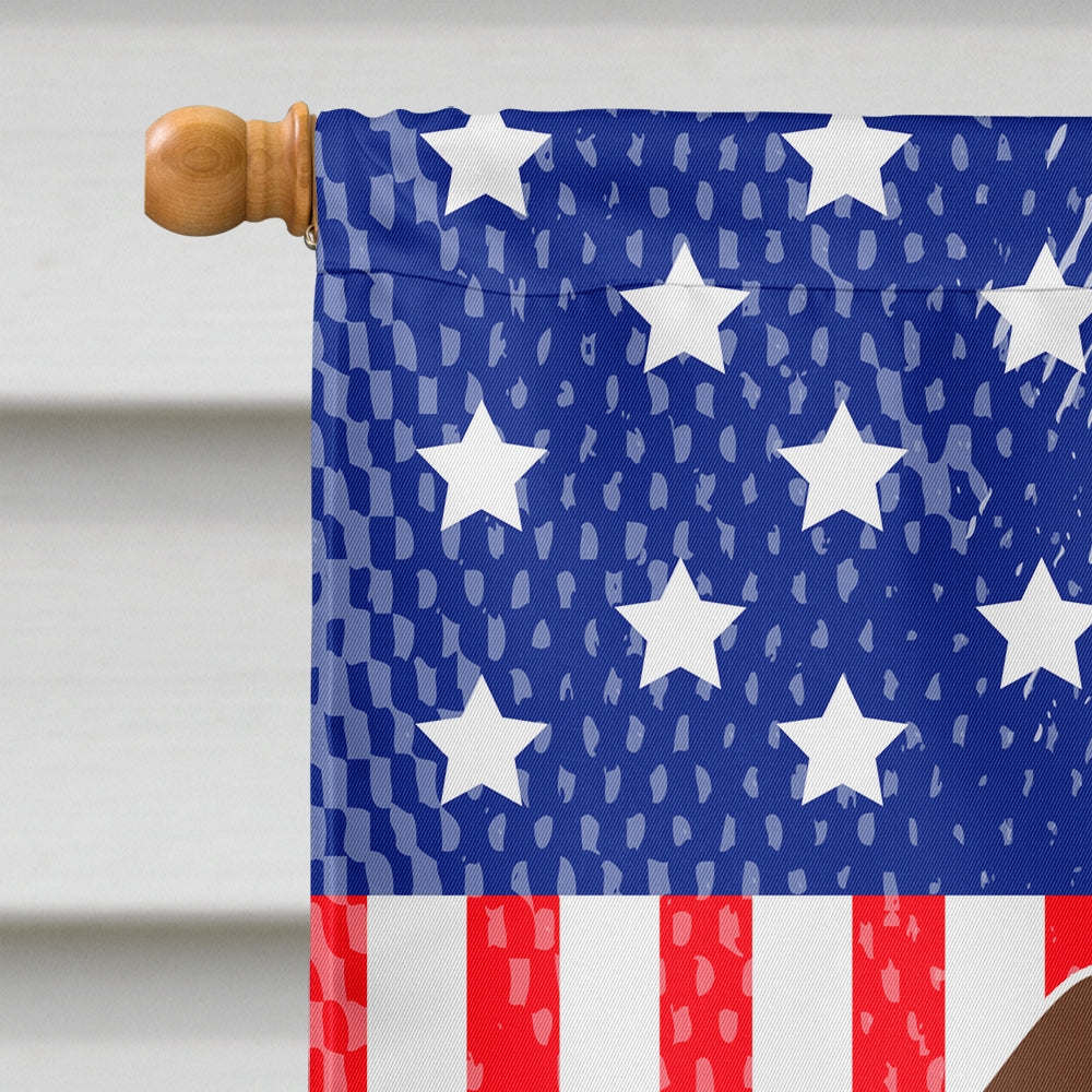 Patriotic USA Dachshund Red Brown Flag Canvas House Size BB3125CHF  the-store.com.