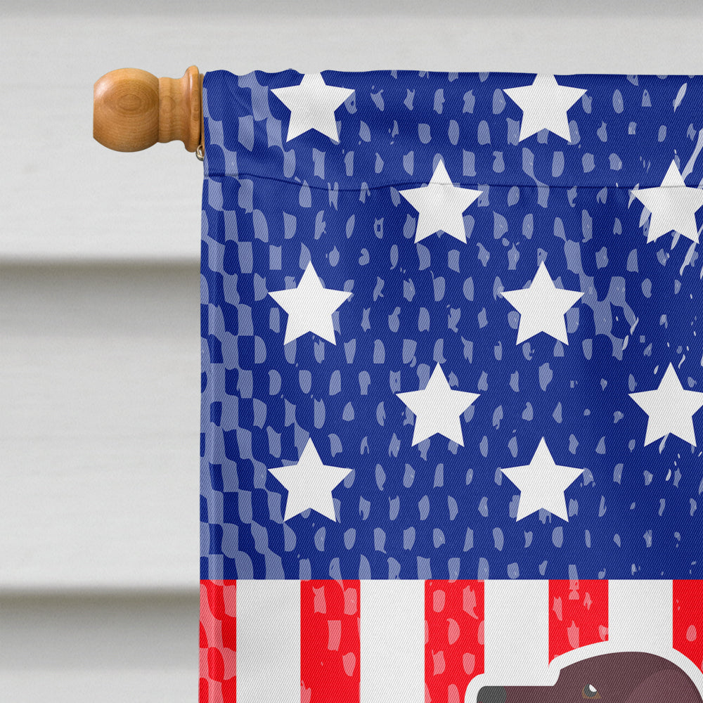 AUSA Patriotic merican Water Spaniel Flag Canvas House Size BB3301CHF