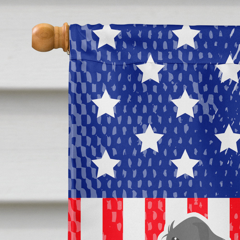 USA Patriotic Irish Wolfhound Flag Canvas House Size BB3303CHF