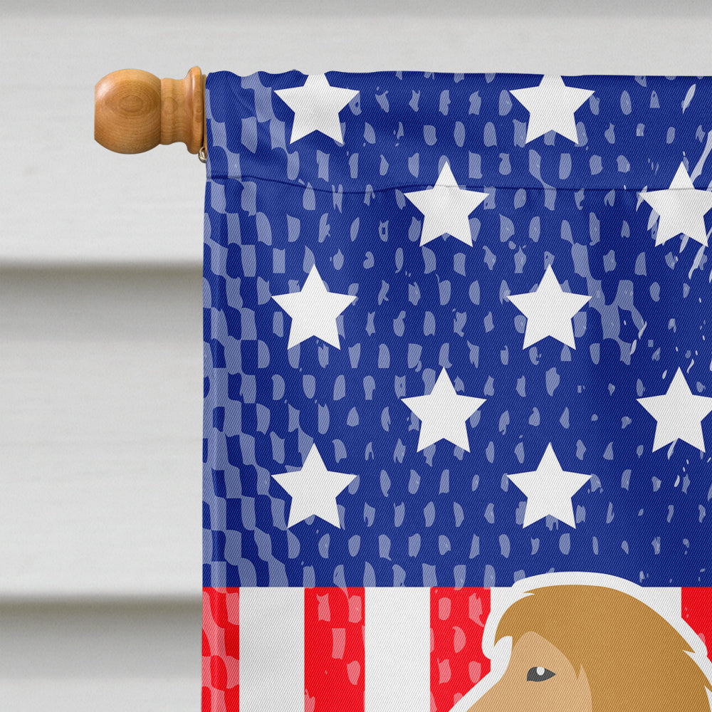 USA Patriotic Afghan Hound Flag Canvas House Size BB3306CHF