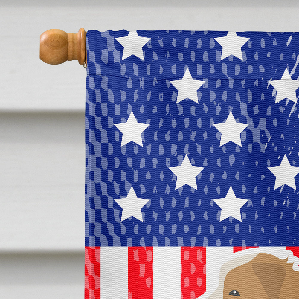 USA Patriotic Red Border Collie Flag Canvas House Size BB3322CHF