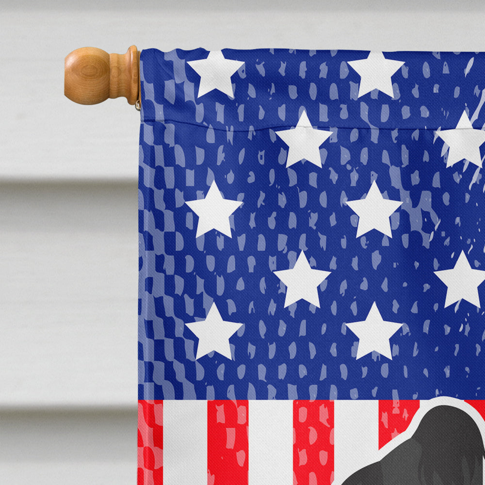 USA Patriotic Briard Flag Canvas House Size BB3326CHF
