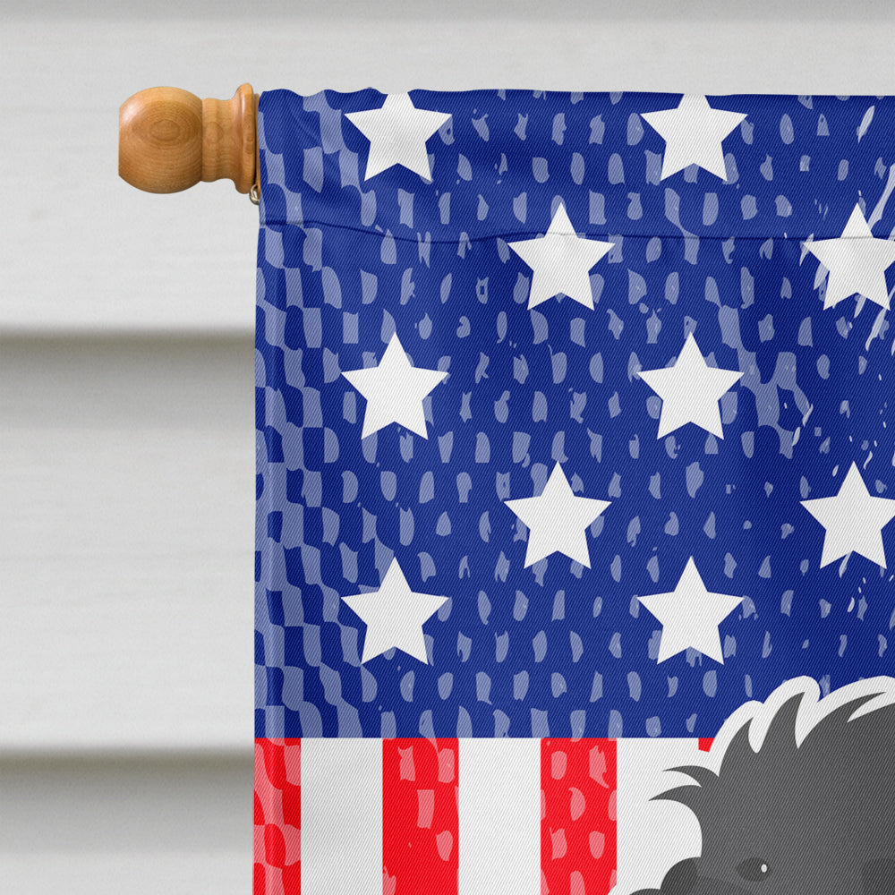 USA Patriotic Affenpinscher Flag Canvas House Size BB3348CHF