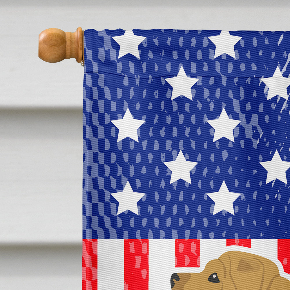 USA Patriotic Shar Pei Flag Canvas House Size BB3352CHF