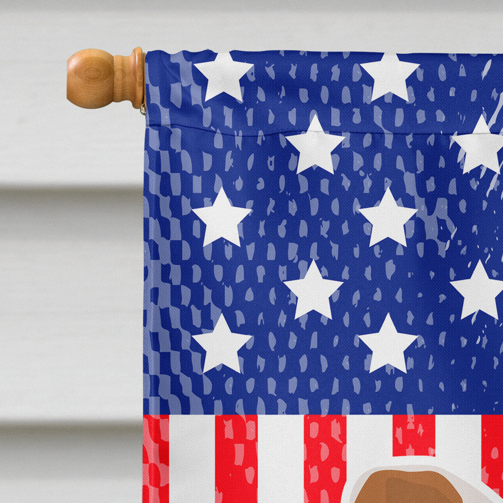 USA Patriotic Saint Bernard Flag Canvas House Size BB3376CHF