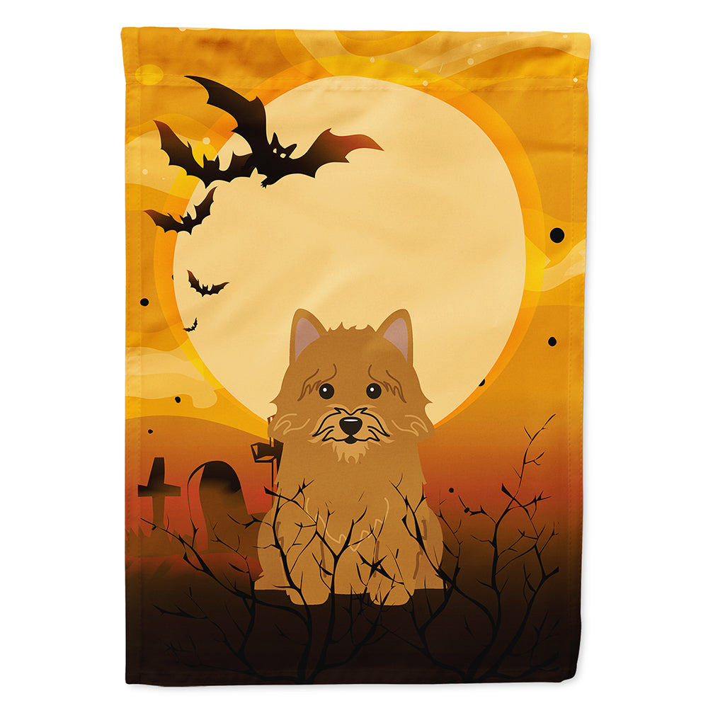 Halloween Norwich Terrier Flag Canvas House Size BB4286CHF