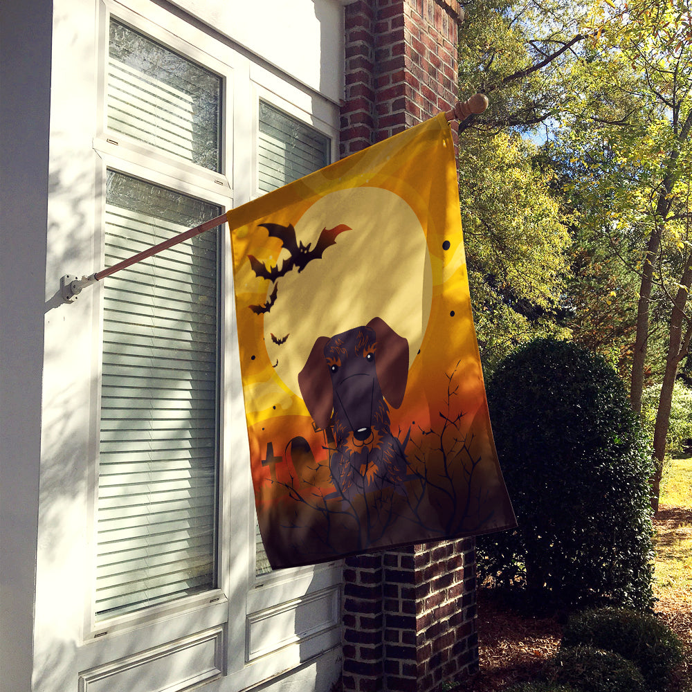 Halloween Wire Haired Dachshund Chocolate Flag Canvas House Size BB4395CHF  the-store.com.