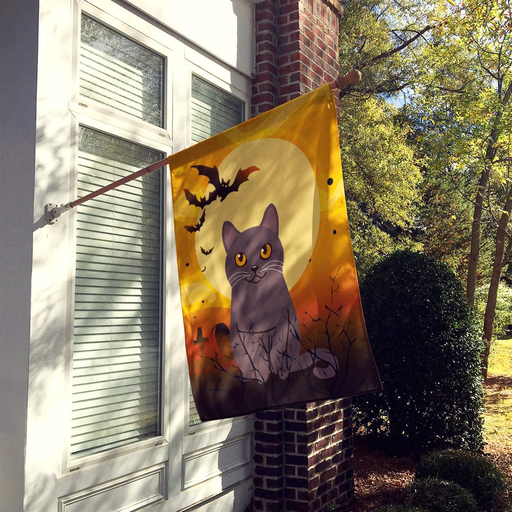 Halloween Chartreux Cat Flag Canvas House Size BB4443CHF  the-store.com.