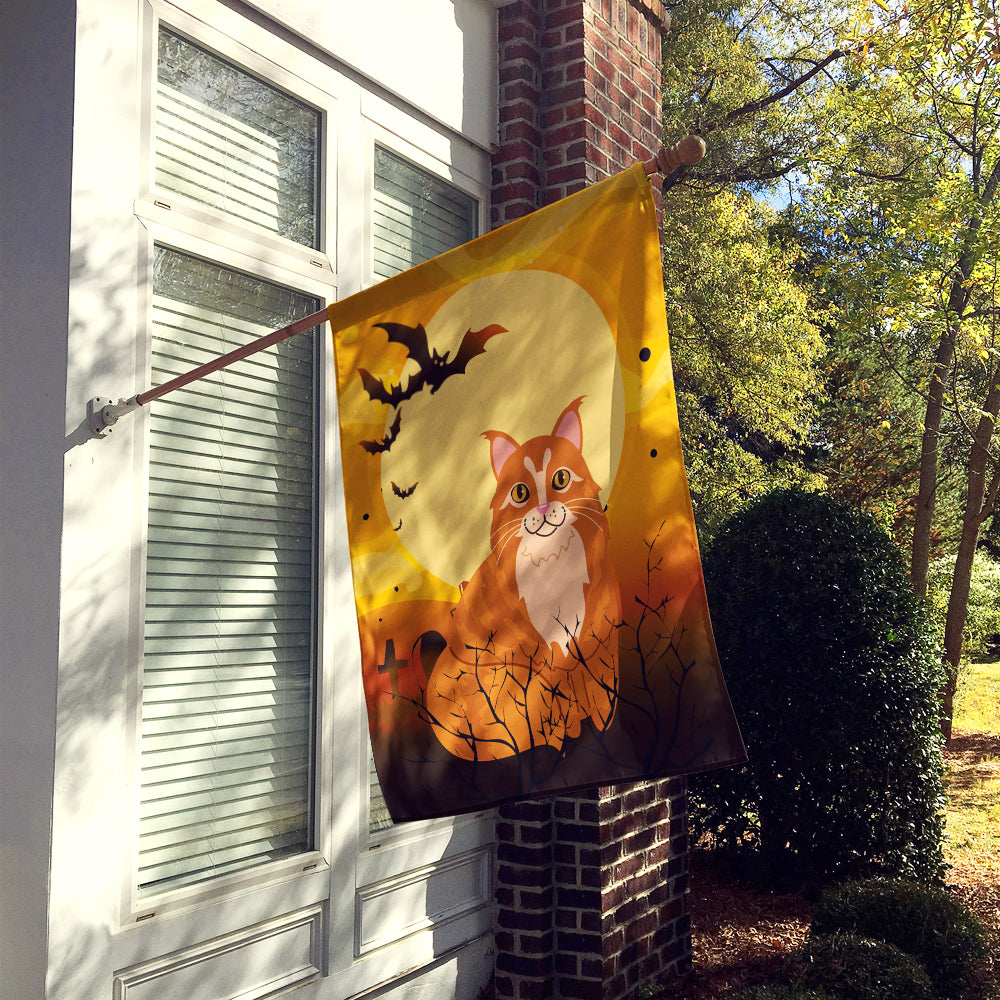 Halloween Maine Coon Cat Flag Canvas House Size BB4448CHF  the-store.com.