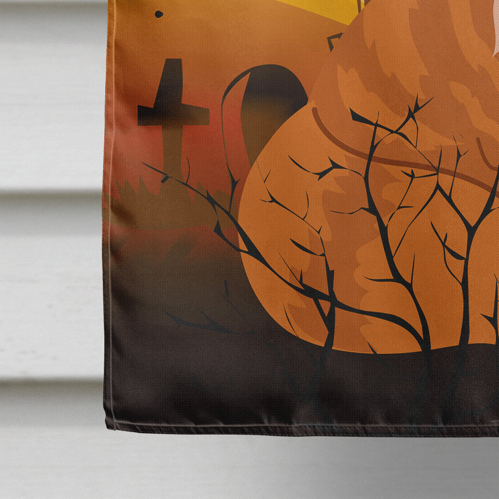 Halloween Maine Coon Cat Flag Canvas House Size BB4448CHF