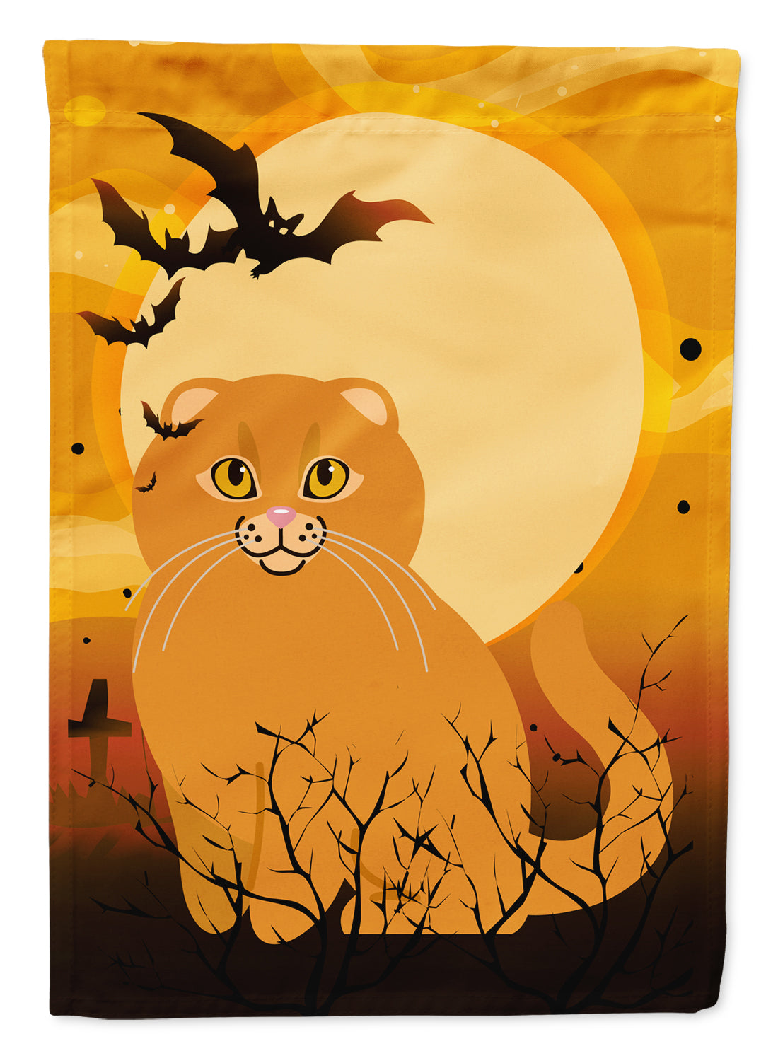 Halloween Scottish Fold Cat Flag Canvas House Size BB4453CHF