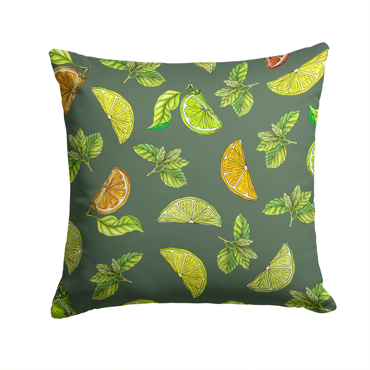 Lemons, Limes and Oranges Fabric Decorative Pillow BB5207PW1414 - the-store.com