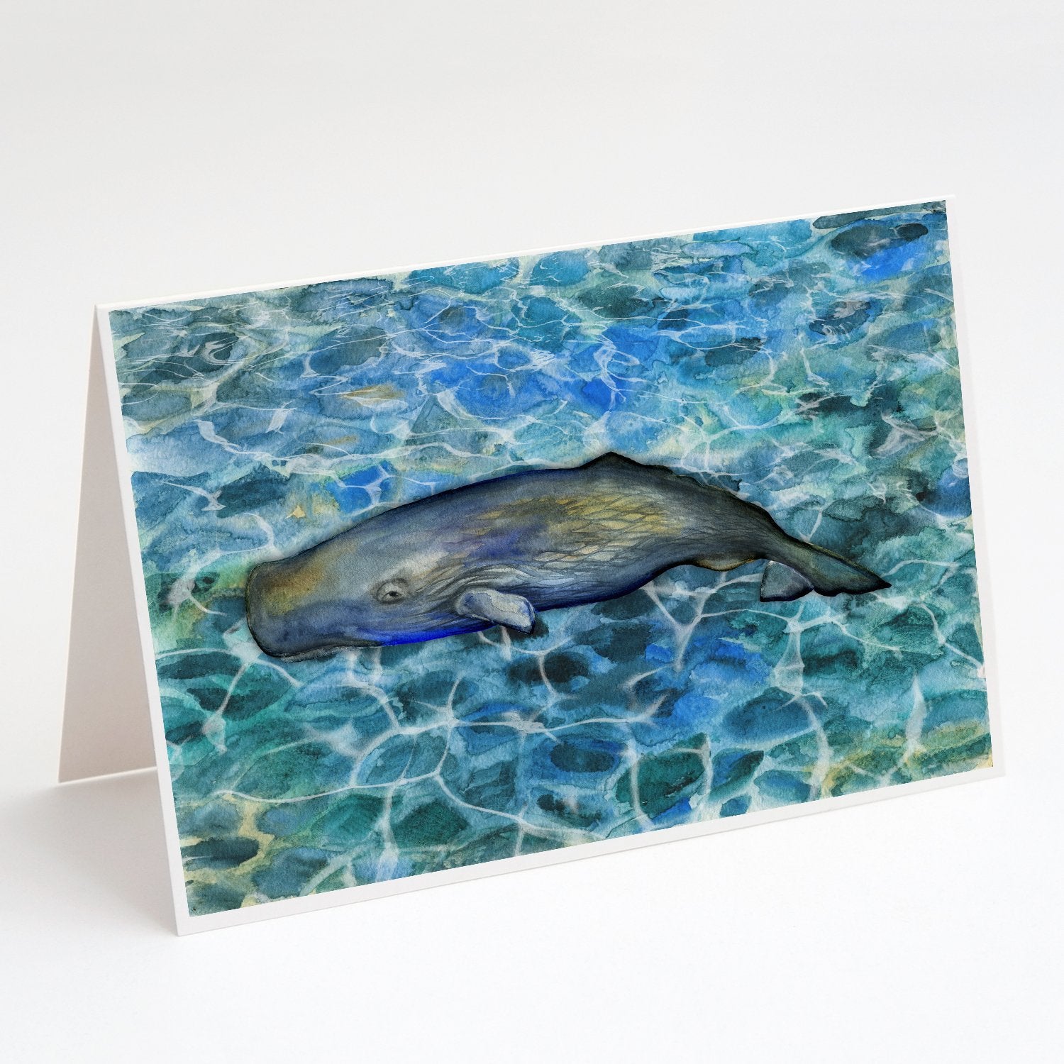Buy this Sperm Whale Cachalot Greeting Cards and Envelopes Pack of 8