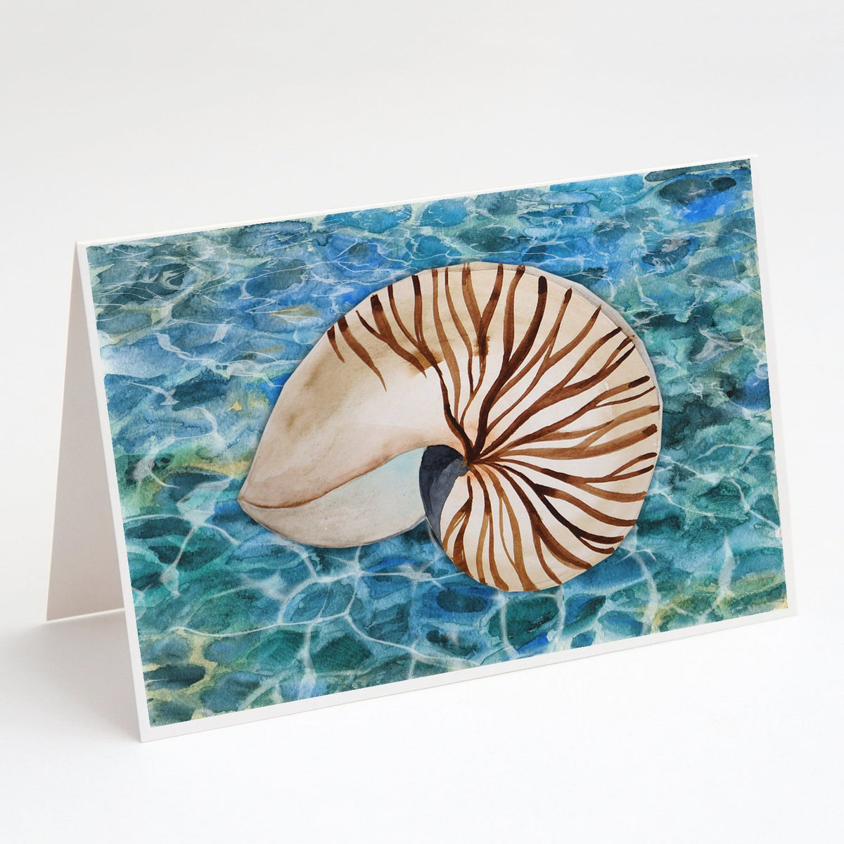 Buy this Sea Shell and Water Greeting Cards and Envelopes Pack of 8