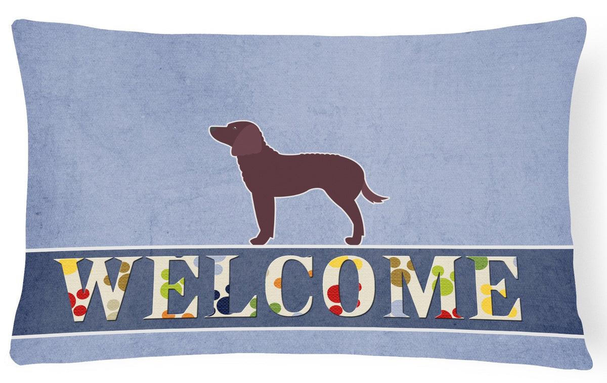 American Water Spaniel Welcome Canvas Fabric Decorative Pillow BB5505PW1216 by Caroline&#39;s Treasures