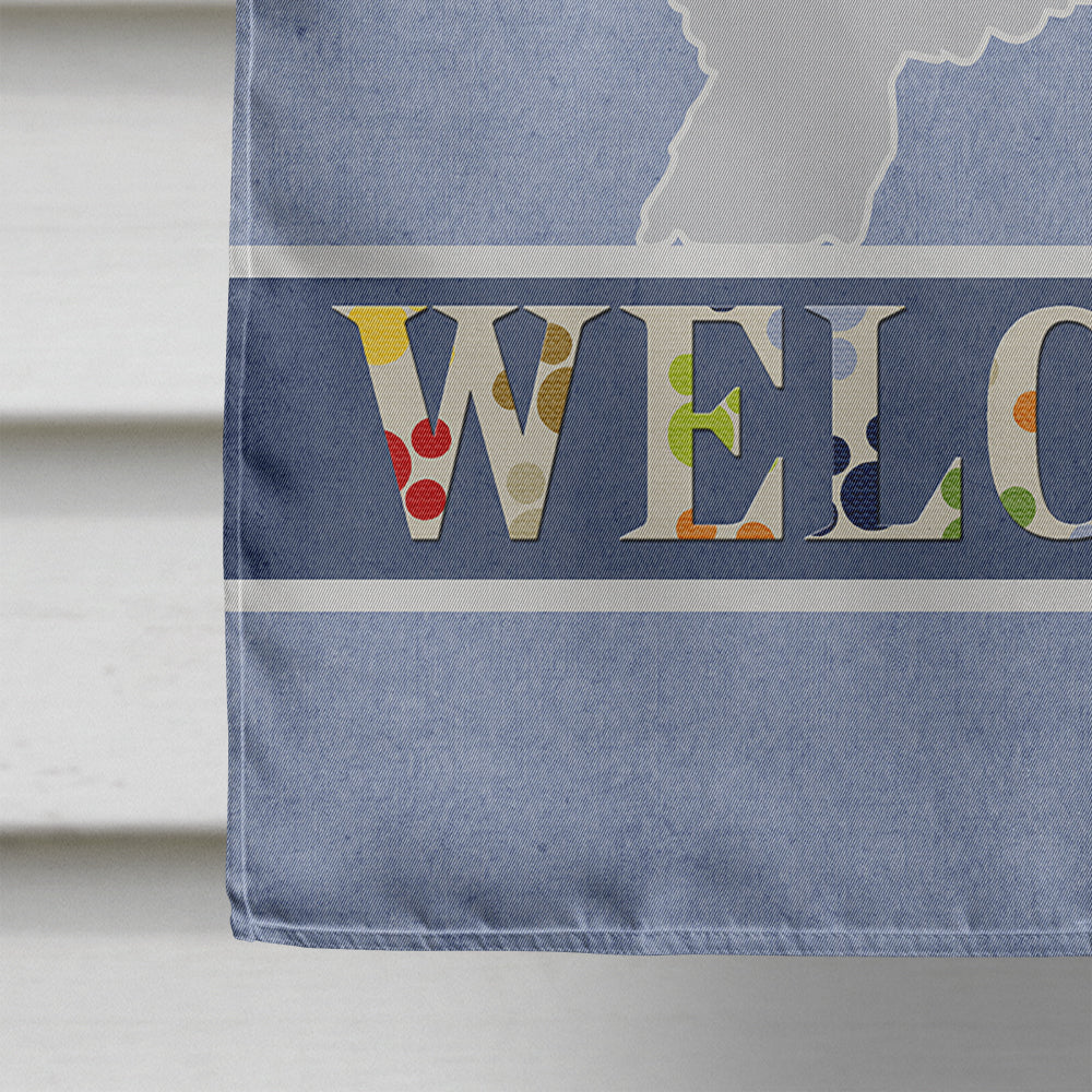 Spanish Water Dog Welcome Flag Canvas House Size BB5519CHF  the-store.com.