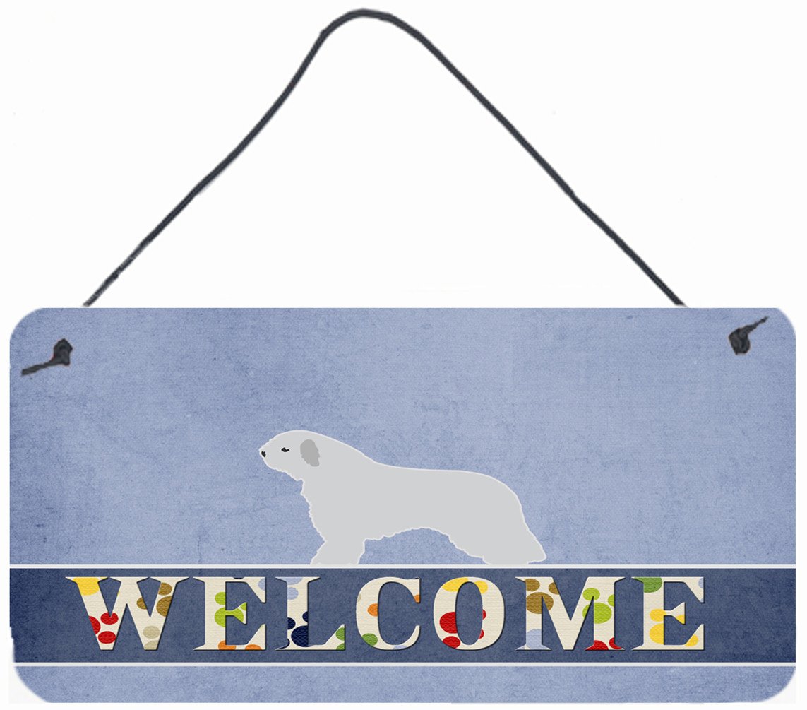 Spanish Water Dog Welcome Wall or Door Hanging Prints BB5519DS812 by Caroline&#39;s Treasures