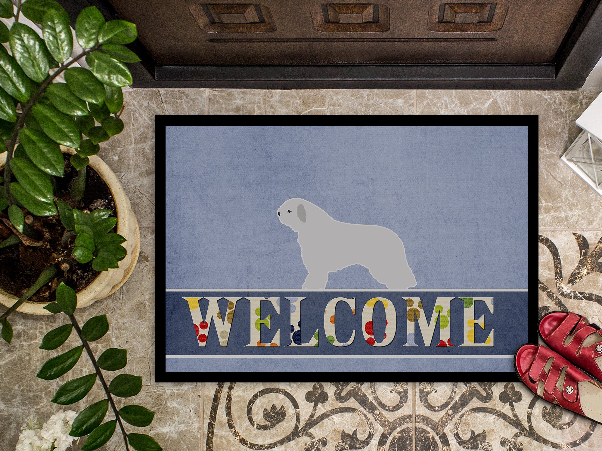 Spanish Water Dog Welcome Indoor or Outdoor Mat 18x27 BB5519MAT - the-store.com